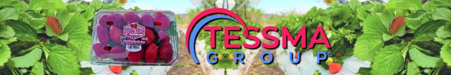 Tessma Group